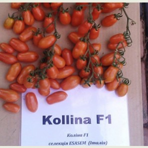 КОЛЛИНА F1 / COLLINA F1 — томат индетерминантный, Esasem 